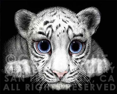 WHITE TIGER