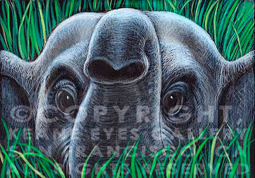 ELEPHANT