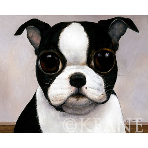 BOSTON-terrier